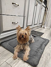 Лежанка для собаки, кота, лежак для собаки, кота, спальні місце МЕБЛЕВА ЗНОСОСТІЙКА ТКАНИНА, спальне місце