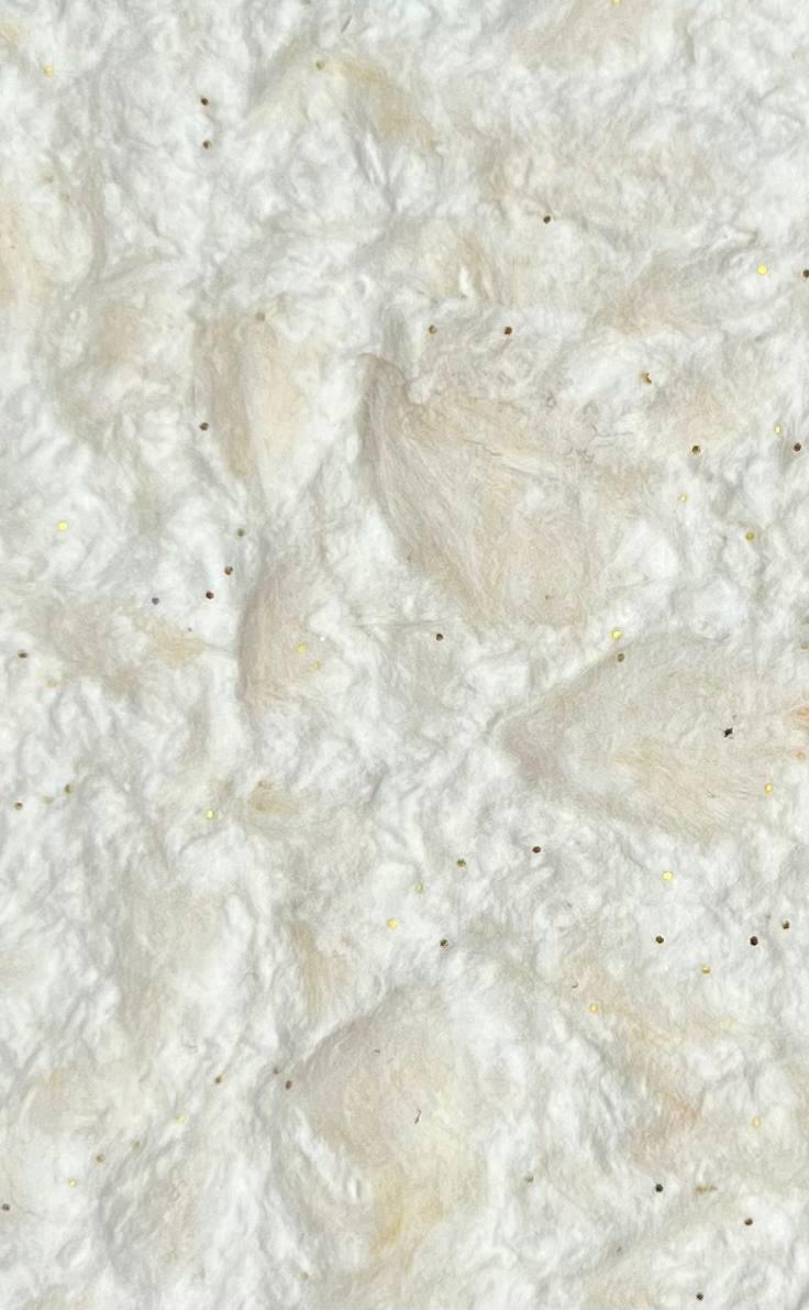 Рідкі шпалери BIOPLAST №211, фото 1