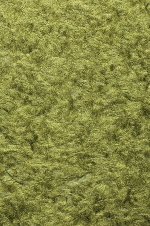 Рідкі шпалери BIOPLAST №1008, фото 1