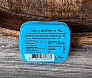 Драже Compass льодяна м'ята "Fresh Mints" без цукру 14 гр. Німеччина, фото 3