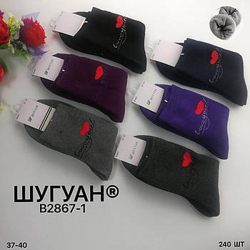 Шкарпетки жіночі термо махрові бавовна Шугуан, розмір 37-40, асорті, 2867-1