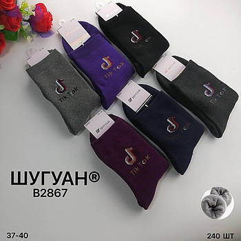 Шкарпетки жіночі термо махрові бавовна TikTok Шугуан, розмір 37-40, асорті, 2867
