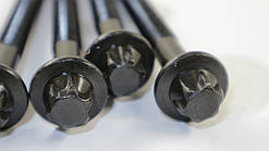 Болти головки двигуна на Рено Кенго II 1.5 dci (K9K) (2008->) — ELRING (Німеччина) 373281