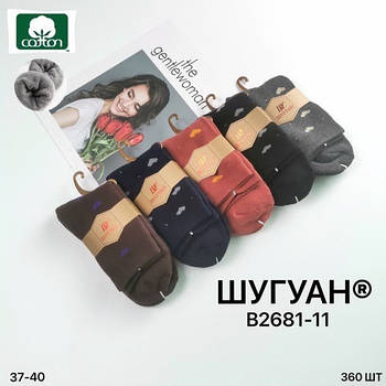 Шкарпетки жіночі термо махрові бавовна Шугуан, розмір 37-40, асорті, 2861-11