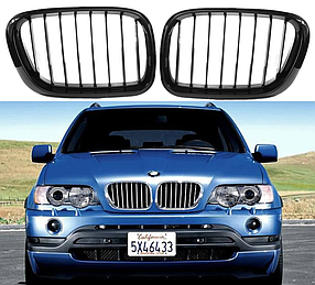 Решітка ноздрі BMW (БМВ) X5 series E53 (1999 - 2003) Глянець