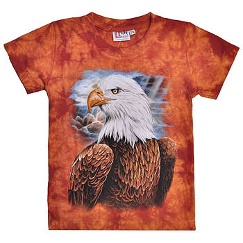 Дитяча футболка Орел (Rock Eagle, Tie Dye)