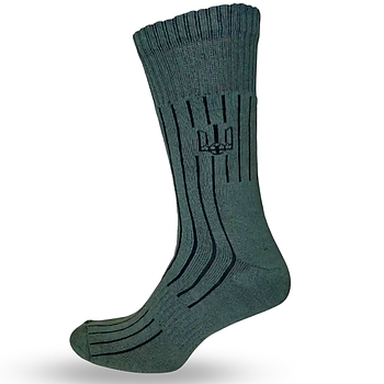 Чоловічі махрові шкарпетки з Гербом, 39-42, Сірі / Зимові шкарпетки чоловічі з принтом Тризуб / Шкарпетки для ЗСУ