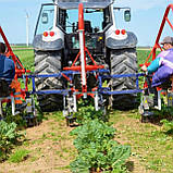 Пристрій для прополювання Jagoda Zuza 3 2-рядний, фото 4