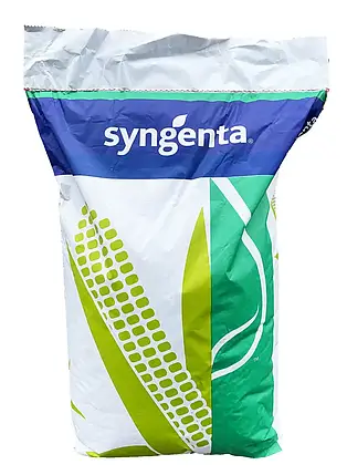 Насіння кукурудзи СІ АРІОСО Syngenta ФАО 270, кукурудза Сингента, фото 3