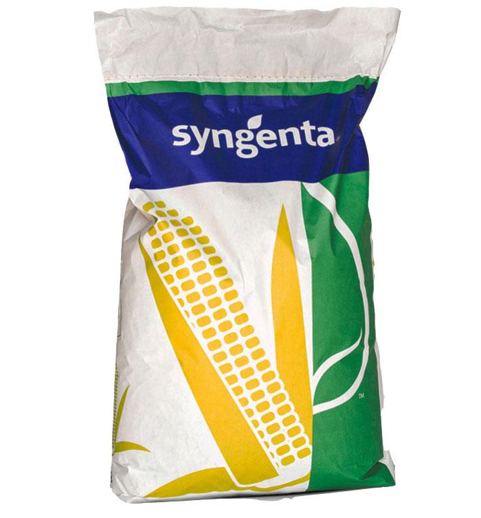 Семена кукурузы СИ ФЕНОМЕН Syngenta ФАО 220, кукуруза Сингента - фото 1 - id-p1699480832