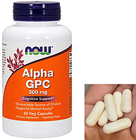 L-альфа-глицерилфосфорилхолин Now Foods Alpha GPC 60 капс ноотроп Vitaminka