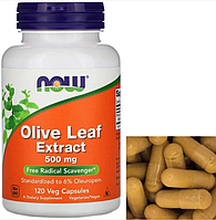 Экстракт листьев оливы Now Foods Olive Leaf Extract 500 mg 120 веган капсул Vitaminka