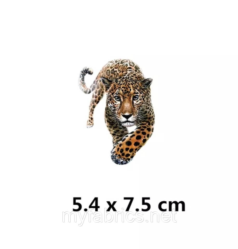 Термонаклейка Леопард