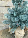 Ялинка лита Premium в мішковині 50 см блакитна, фото 4
