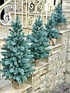 Ялинка лита Premium в мішковині 50 см блакитна, фото 6