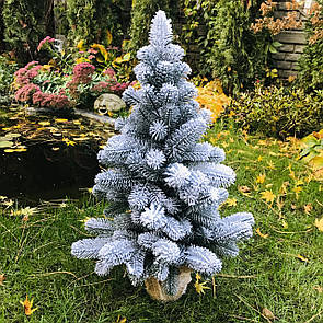 Ялинка лита Premium в мішковині 70 см засніжена