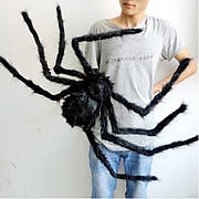 Величезний павук RESTEQ. Великий чорний тарантул 75 см
