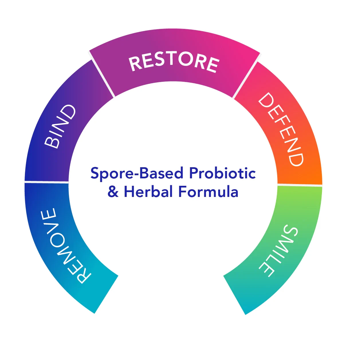 Proflora 4R Spore-Based Probiotic & Herbal Formula, Відновлююча комбінація пробіотиків 30 капсул - фото 2 - id-p1699675249