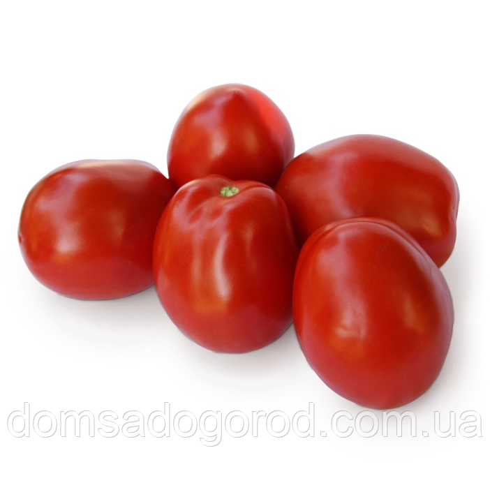 Томат Kitano Seeds ДЕРИКА F1 | DERIKA F1 5000 шт, фото 1