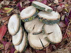 Дерев'яний зріз (діаметри 13-14 см). Висота 1.5-2 см