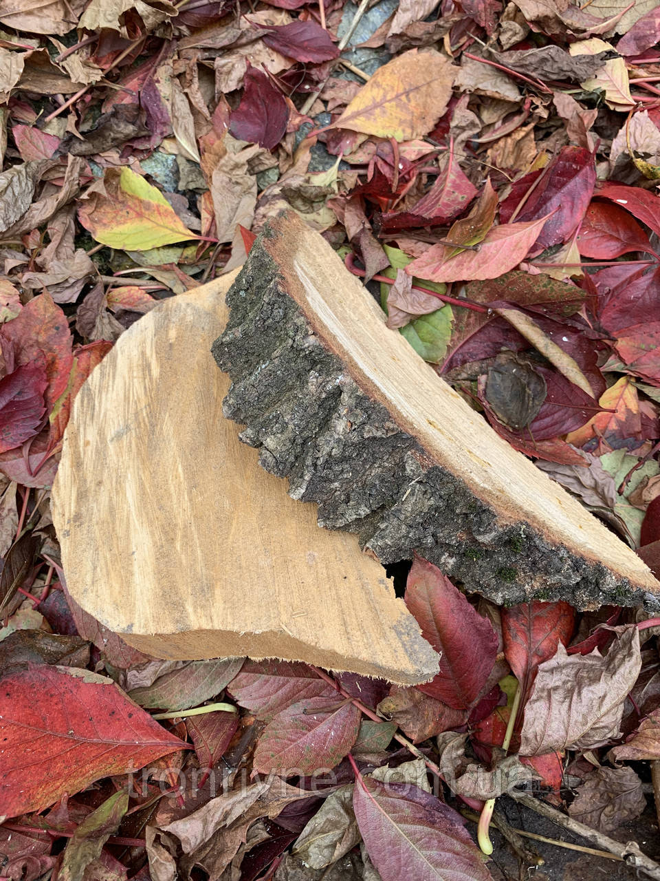 Дерев'яний сруб напівкруглий (найбільший бік 26 см, ширина 12 см). Висота — 4-5 см