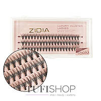 Ресницы ZIDIA Cluster lashes 20D C 0,10 3 ленты размер 10 mm (110011)