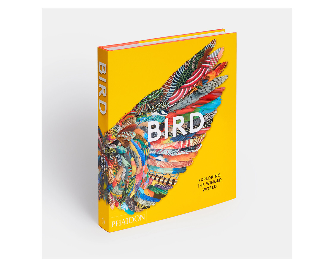 Книга Phaidon Editors: Bird, Exploring the Winged World