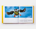 Книга Phaidon Editors: Bird, Exploring the Winged World, фото 6