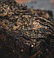 Чай Аньхуа чорний колекційний Hunan Anhua Dark Tea 1997 Imperial Tianjian No. 1 Golden Flower Fu Brick 1000г, фото 5