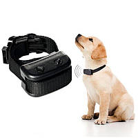 Електронний нашийник антилай для собак PetTrainer H-166 акумуляторний водонепроникний нашийник проти гавку