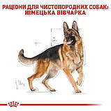 Корм ROYAL CANIN GERMAN SHEPHERD ADULT 11 кг, фото 5