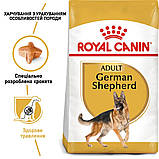 Корм ROYAL CANIN GERMAN SHEPHERD ADULT 11 кг, фото 3