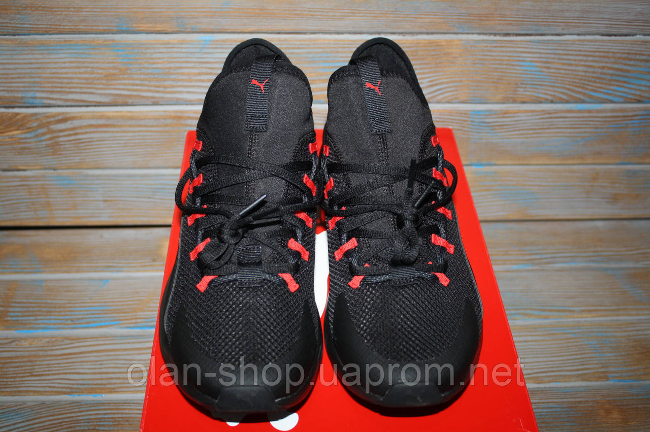 Puma euro cheap