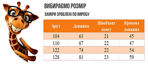 1608-39чер Дитячі теплі штани з начосом чорного кольору Тм АВЕКС розмір 98 см, фото 4
