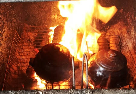 Продовження хроніки Розсадника рослин Мрослава Гуменюка за жовтень місяць.