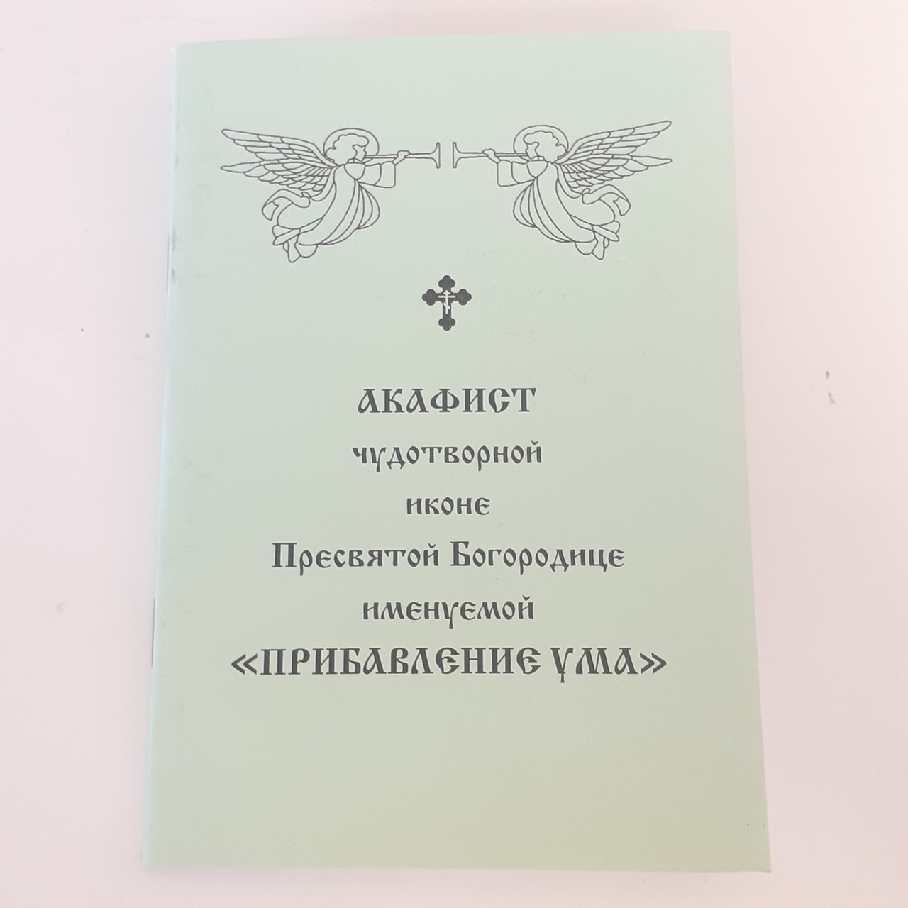 Акафіст ПРИДАННЯ РОЗУМУ чудотворній іконі Пресвятій Богородиці