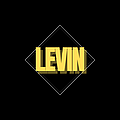 LeVin