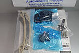 Комплект ланцюга ГРМ (ОРИГ.) Renault Megane III/ IV, Scenic III/ IV; Nissan Qashqai 1.2i/ 1.4i/ 1.6i 2005-, фото 6