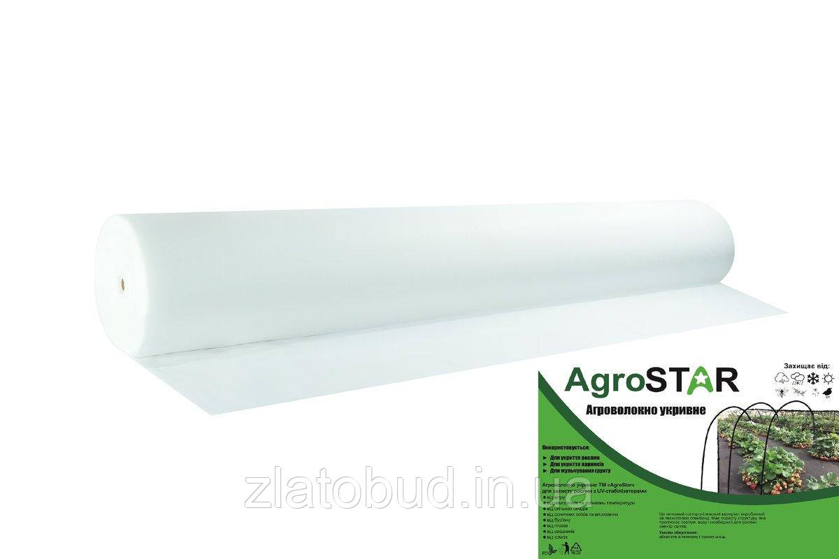 Агроволокно"AgroStar" 30 UV біле(1.6*100) - фото 4 - id-p1700574821