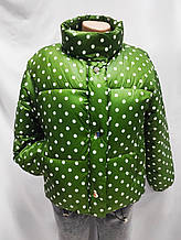 Куртка женская сезон осень/зима Куртка зимова жіноча молодіжна плащовка, синтепон, зелена в горошок