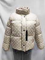 Жіноча зимова дута куртка без капюшона плащівка+синтепон 250+ підкладка Куртка жіноча бежева в горошок