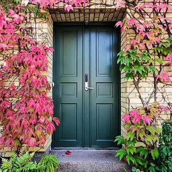 Вхідні двері для дому