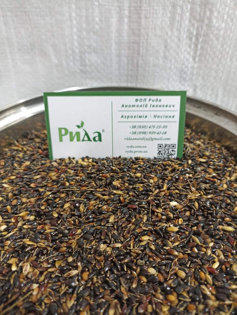 Семена травы Суданка (рябая), цена 25 грн — Prom.ua (ID#18390389)