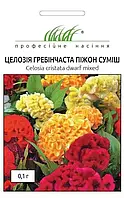 Семена цветов Целозия гребешковая Пижон смесь, 0,1 г, годен до 11.2022, УЦЕНКА