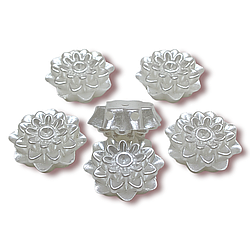 Напівнамистини пришивні Квіточка 2 22 мм Білий +-19 шт.