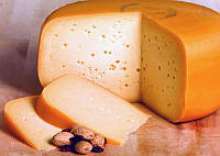 Закваска для сиру Гауда на 10-12 л молока
