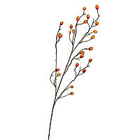 Гілочка шипшини, 82 см ELISEY