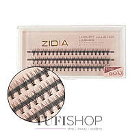 Ресницы ZIDIA Cluster lashes 10D C 0,10 3 ленты размер 9 mm (110003)