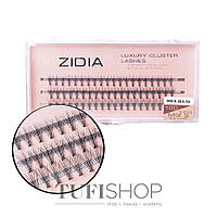 Ресницы ZIDIA Cluster lashes 10D C 0,10 Mix 3 ленты, размер 8, 10, 12 mm (110007)