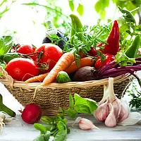 Вітамінний набір насіння від GreenMarket 10 упаковок, набір добірних овочів для посіву, квасоля, баклажан, капуста